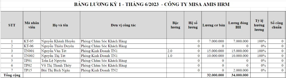 Mẫu bảng lương dành cho toàn doanh nghiệp
