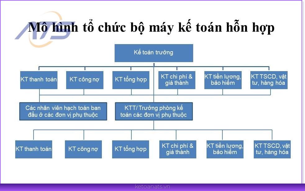 Mô hình tổ chức bộ máy kế toán hỗn hợp