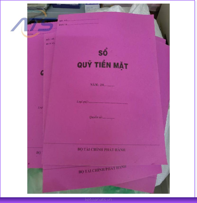 sổ quỹ kế toán là gì
