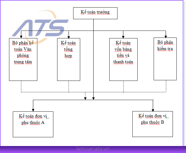 Hình thức tổ chức bộ máy kế toán phân tán tại công ty TNHH