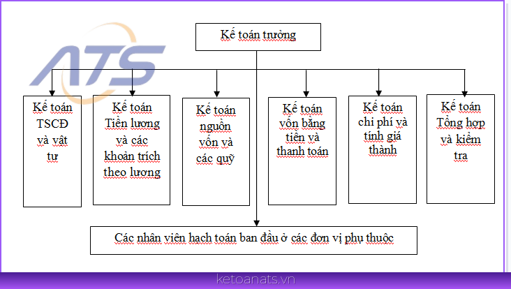 Hình thức tổ chức bộ máy kế toán tập trung tại công ty TNHH