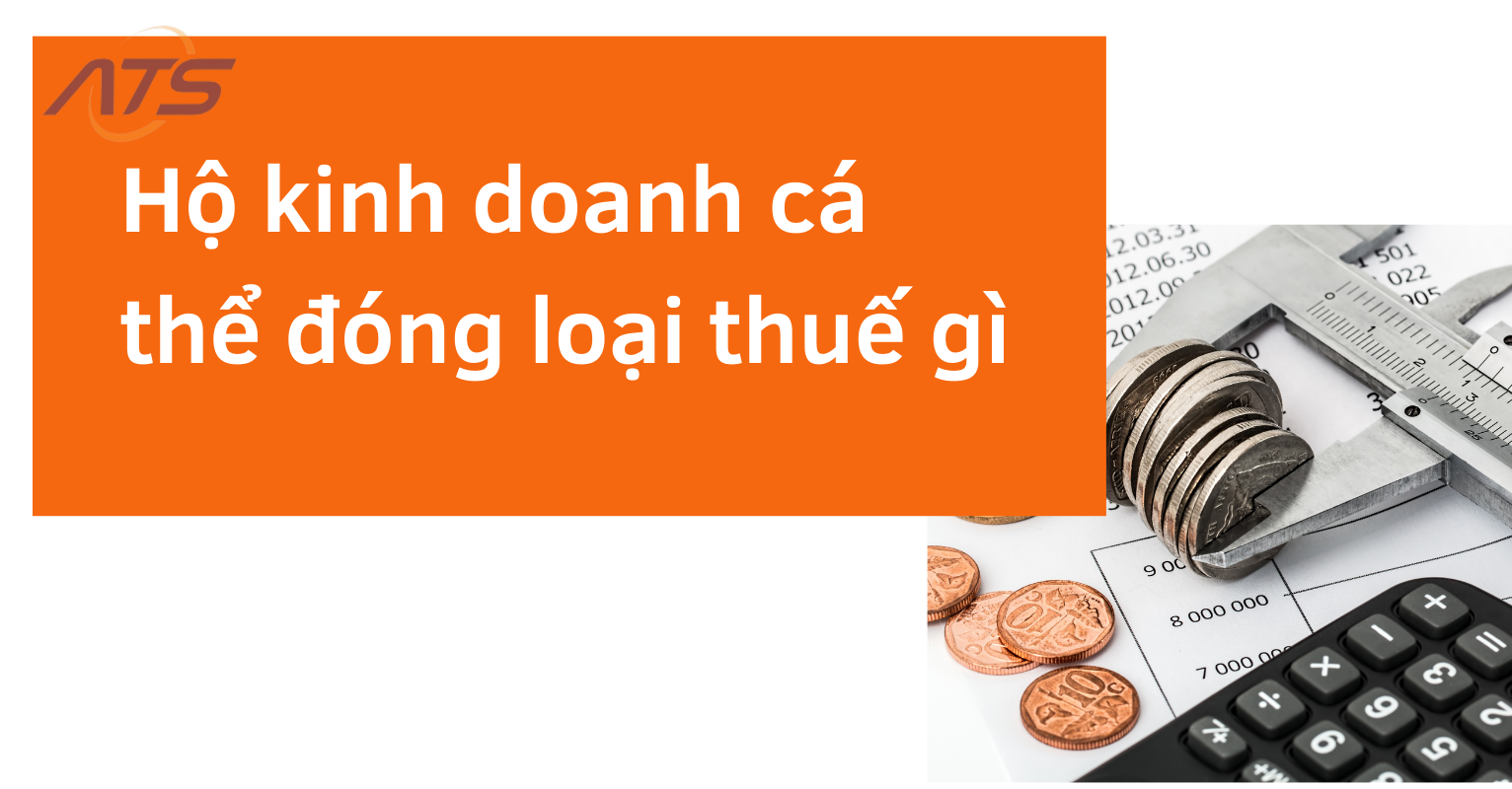 Hộ kinh doanh cá thể nộp những loại thuế gì?