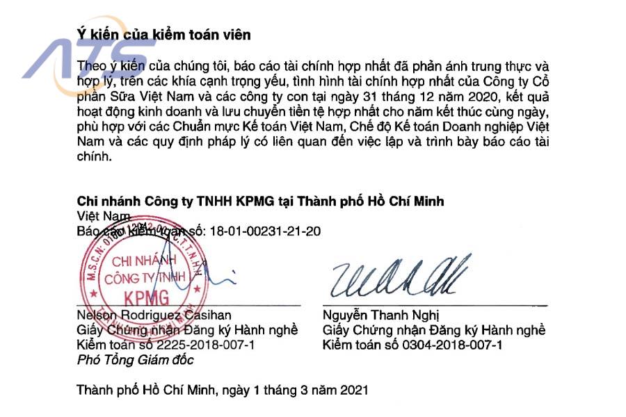 Ý kiến của kiểm toán viên