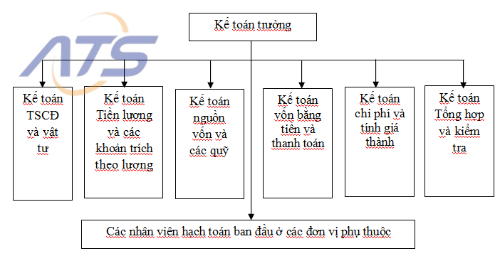 Hình thức tổ chức bộ máy kế toán tập trung