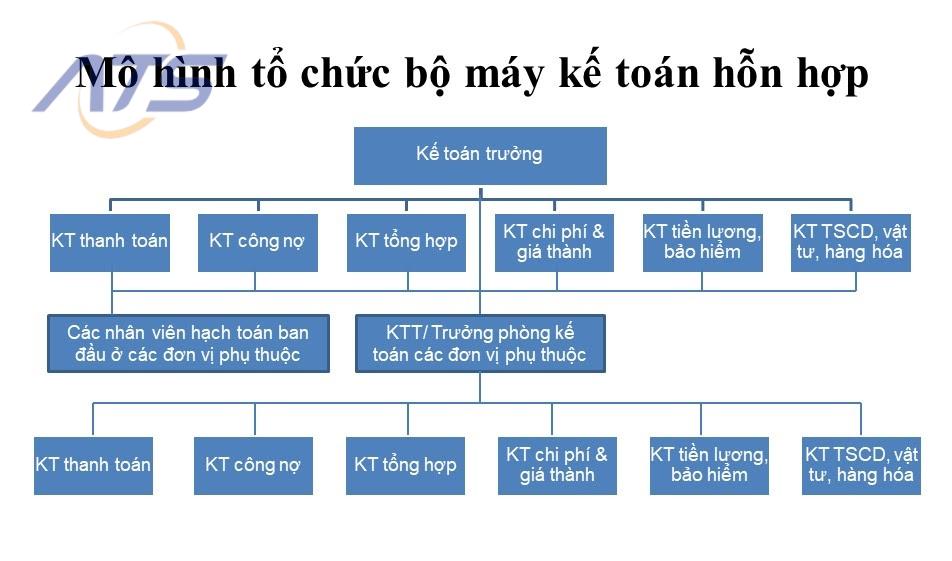 Mô hình tổ chức bộ máy kế toán hỗn hợp