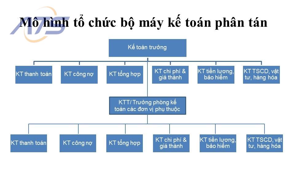 Mô hình tổ chức bộ máy kế toán phân tán
