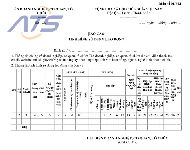 Mẫu báo cáo sử dụng lao động của doanh nghiệp theo quy định
