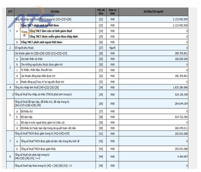 Quyết toán thuế kỳ năm dương lịch (01/01/2024 – 31/12/2024)