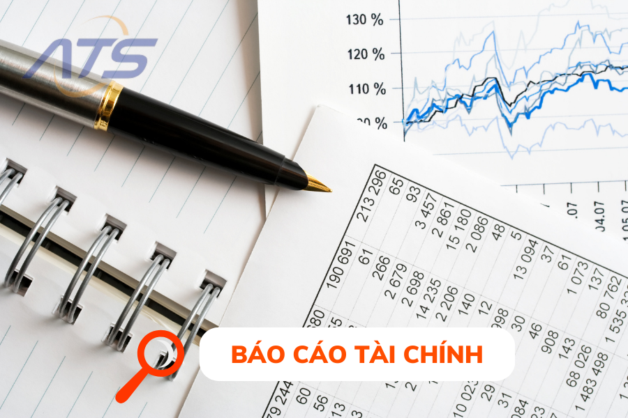 Báo cáo tài chính (BCTC)