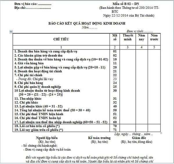 Mẫu báo cáo lãi lỗ nội bộ chung