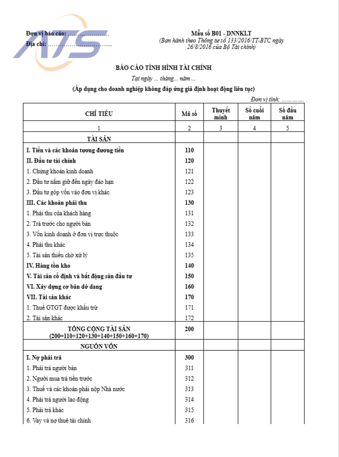 Mẫu báo cáo tài chính doanh nghiệp vừa và nhỏ