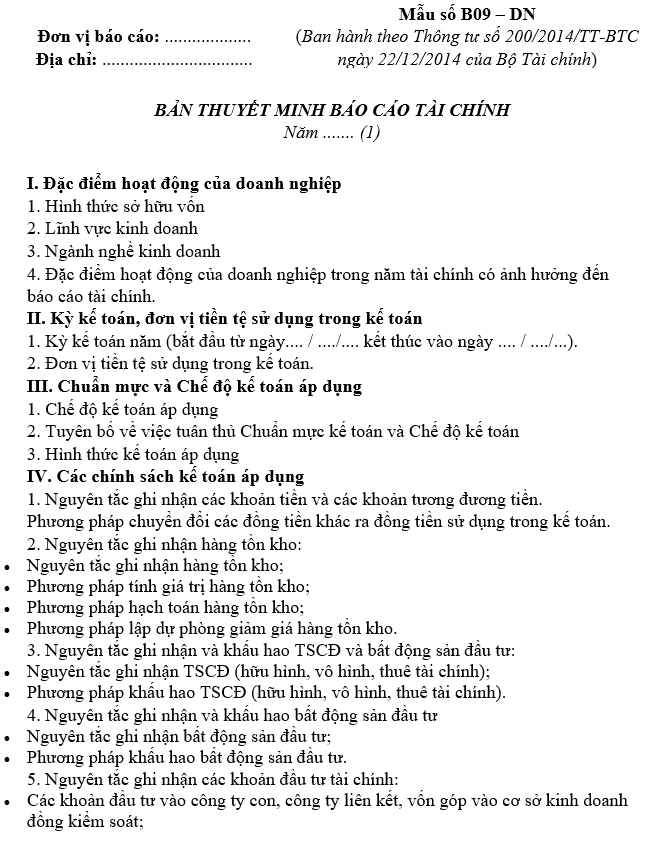 Ví dụ về thuyết minh báo cáo tài chính theo thông tư 200