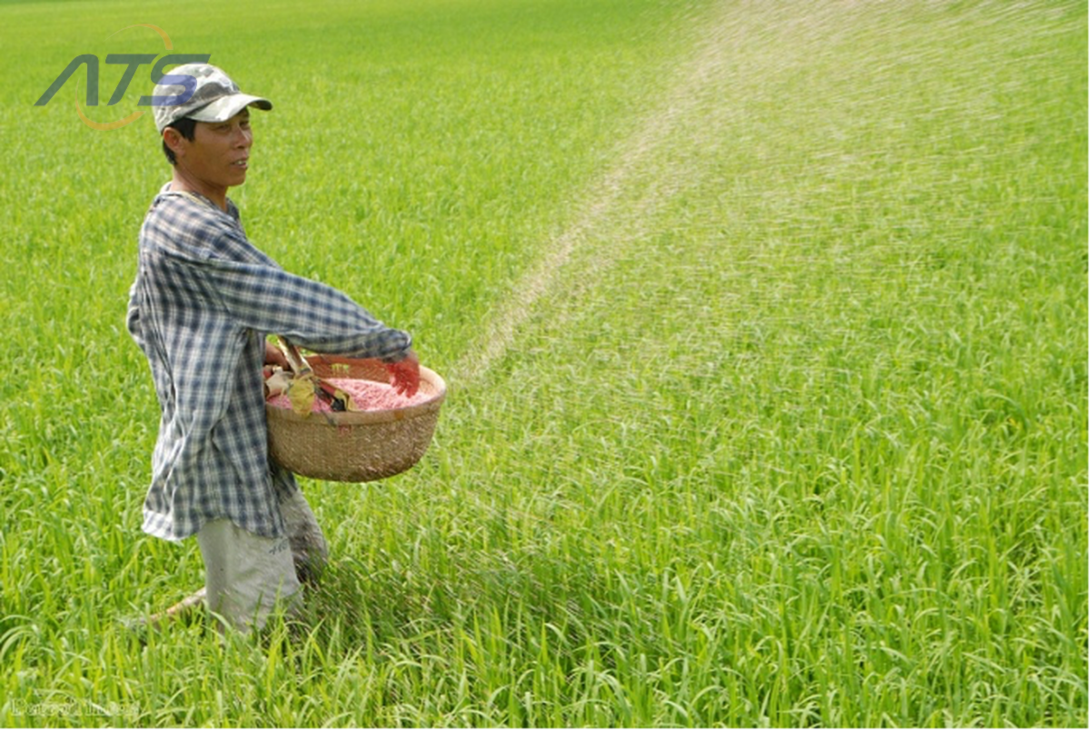 Đối tượng chịu thuế GTGT theo quy định hiện hành