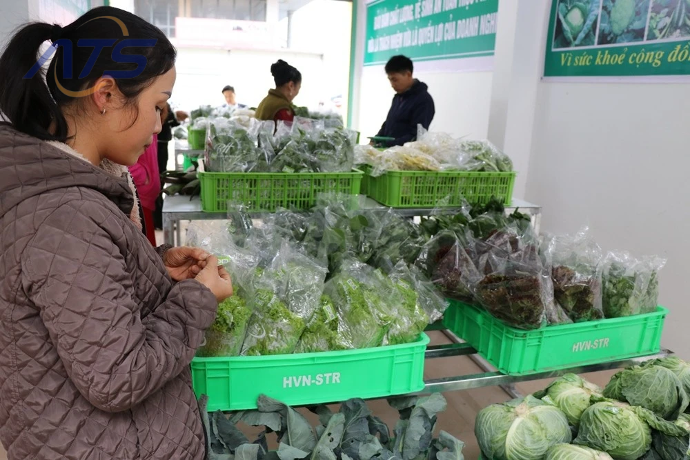 Hộ kinh doanh là gì?