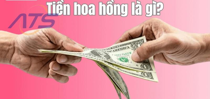 Quy định pháp lý và căn cứ cơ sở