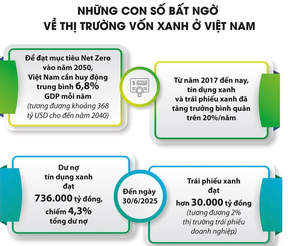Mất cân đối vốn trên báo cáo tài chính – khái niệm cách xác định