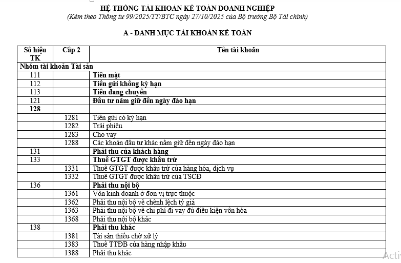 mau-bao-cao-tai-chinh-theo-thong-tu-99-2025-3